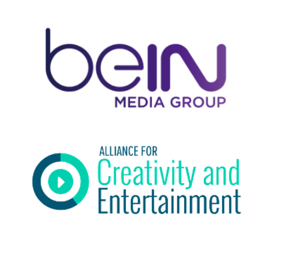 beIN Media Group and ACE shutdownnine additional pirate sites in Egypt